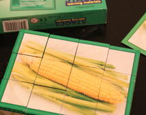finished-vegetable-cube-puzzle