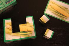 vegetable-cube-puzzle-almost-finished