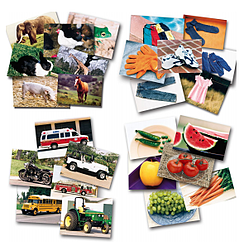 4-categories-of-cards-animals-clothing-food-and-vehicles