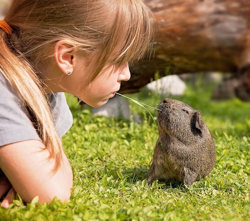 girl-outside-with-guinea-pig.jpg