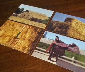 Language Builder Noun Cards 2: hay, pitchfork, saddle, barn-picture