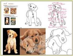 monart dog drawings