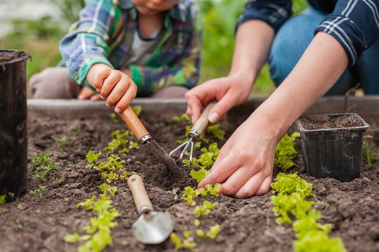 children with autism gardening