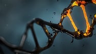 DNA-mutation-autism