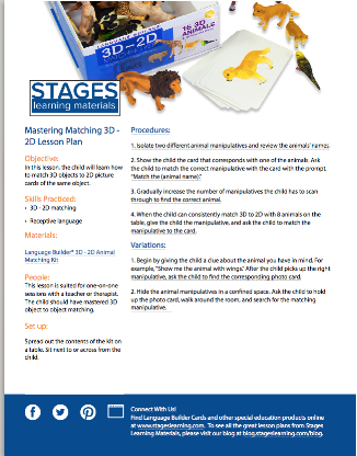 Stages Learning mastering matching 3D - 2D lesson plan image