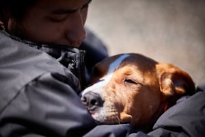 man-holding-sleepy-service-dog